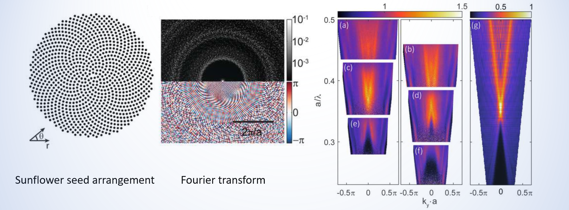 Vogel spirals in Laser Photonics Review